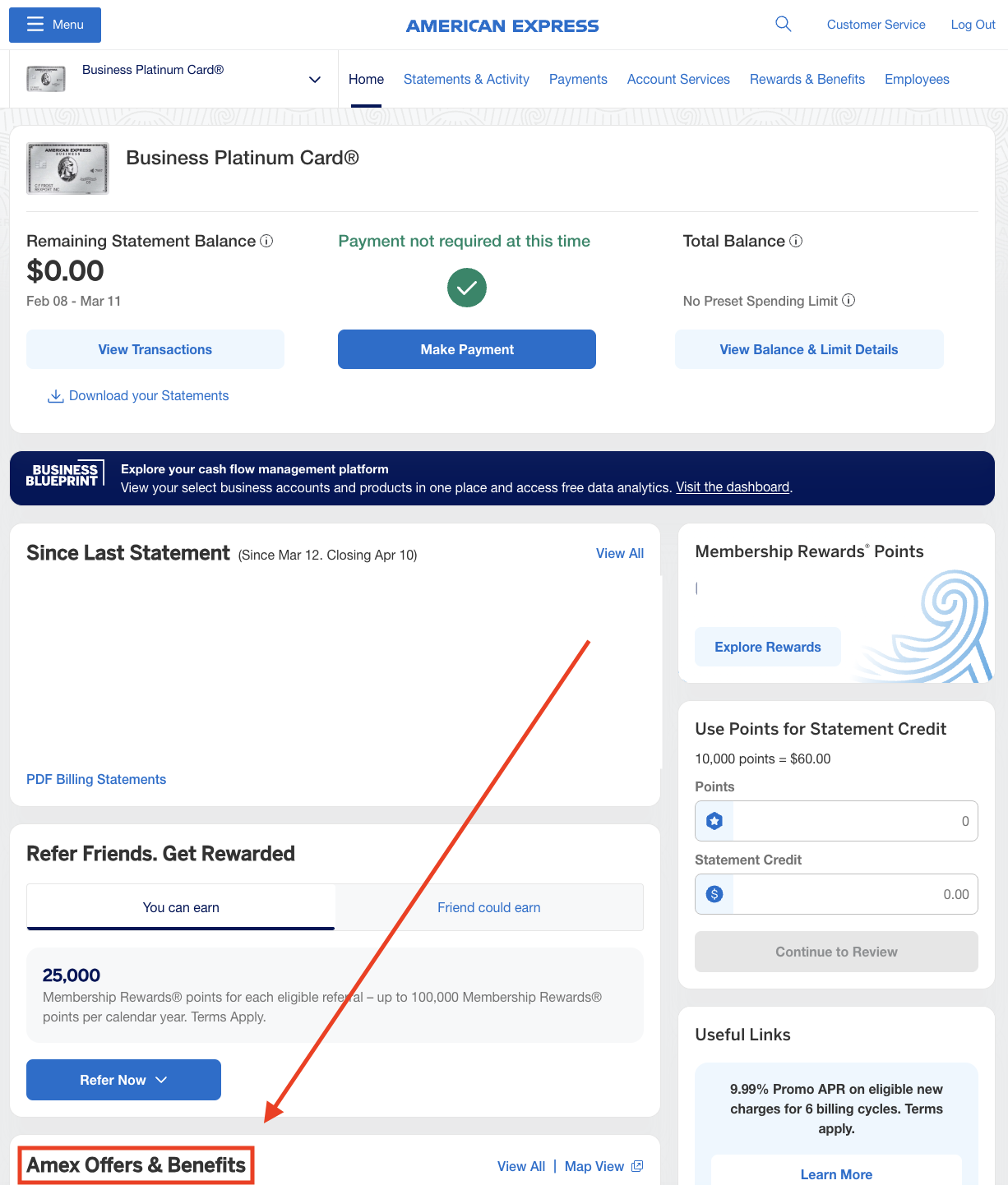 Amex offer section call out